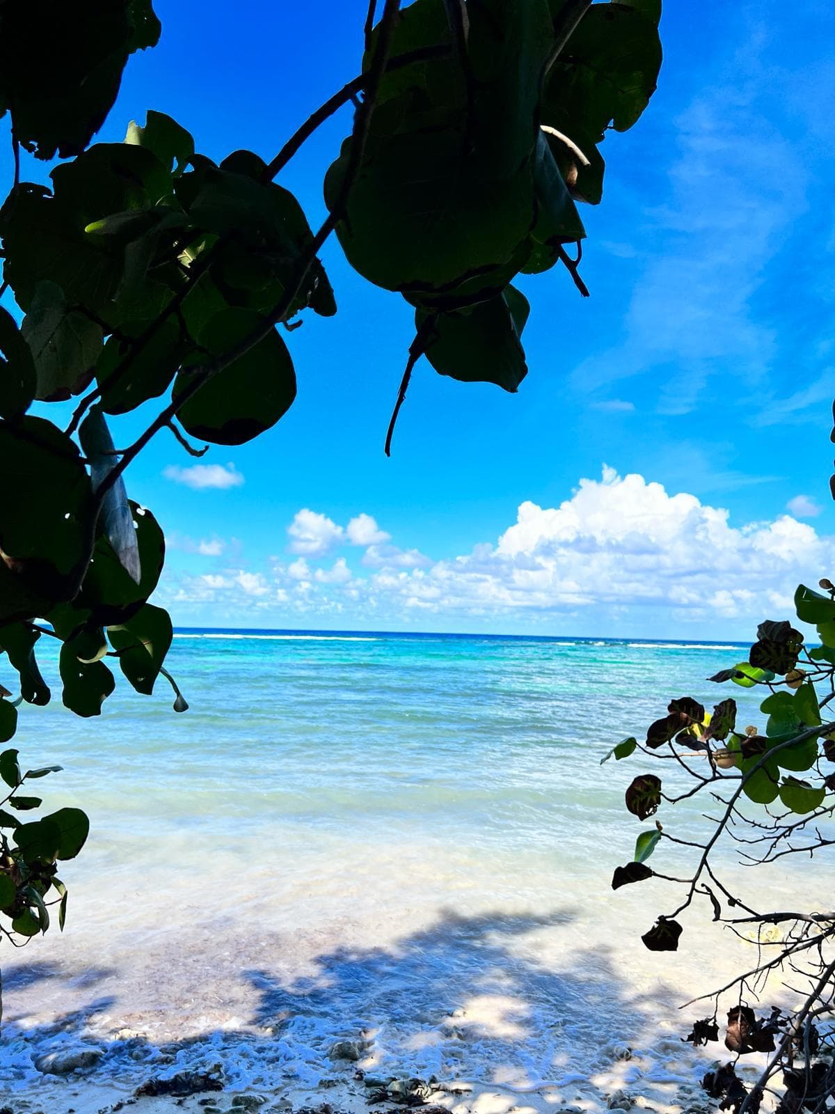 Beachfront Development Land For Sale - East End